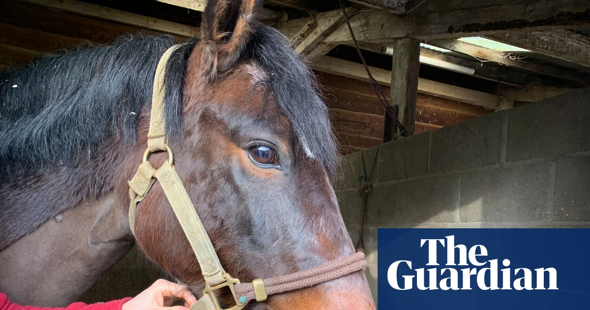 Ländertagebuch: Ein Speicheltest für George, das Pony, und ein Umdenken bei der Wurmbekämpfung | Nutztiere