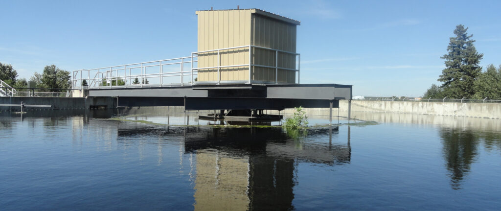 Personen im Rampenlicht: Lernen Sie Anna Cleaver kennen