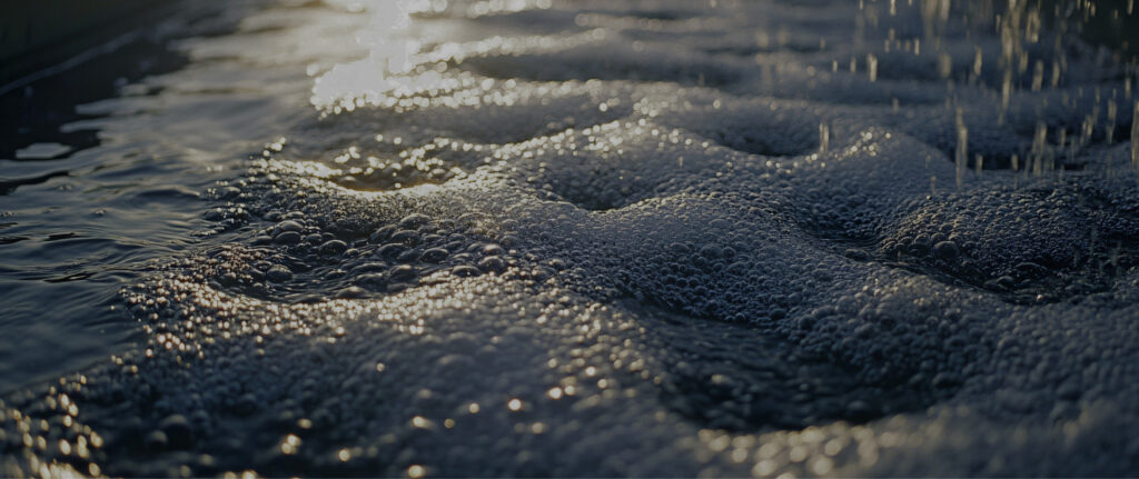 Deep Dive mit Tom Fini