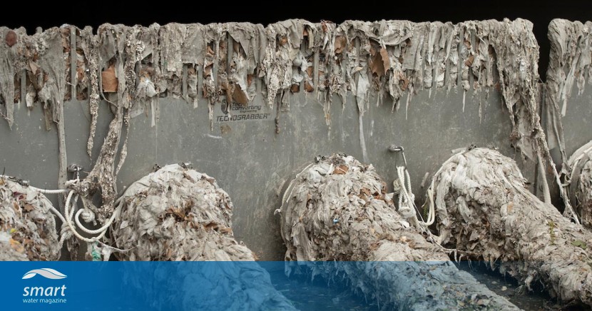 der Anstieg der Fettberge und die Kosten für das, was wir wegspülen